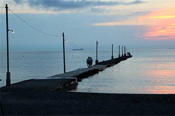 【房総3大海の幸&3大絶景&3大道の駅を1日で満喫!/横浜発】浜焼の究極版!南房総海の三大王者(伊勢海老・あわび・ズワイガニ)食べ放題!バスツアー2